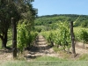 Köveskál, Monoszló - a Balaton-felvidéki szőlők, présházak különleges hangulata 2022. június